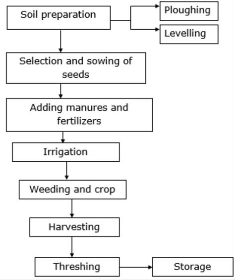 Flow Chart Of Agricultural Practices