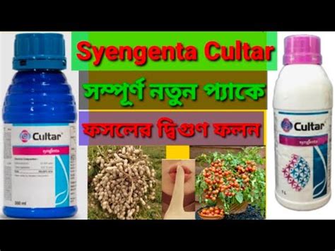 Syengenta Cultar PGR Cultar paclobutrazol 23 Sc বদম চষ কলটর