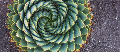 PGCE Secondary Physical Education with QTS | University of Worcester