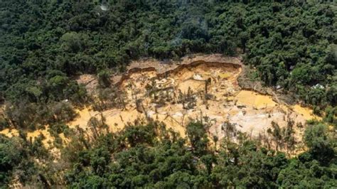 Lo Que Debe Saber Sobre La Minería Ilegal En La Amazonia