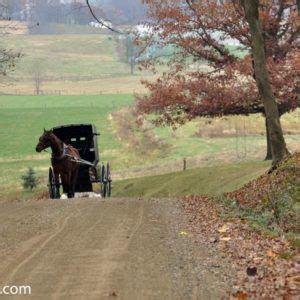 Where are the Amish In Tennessee? » Amish 365