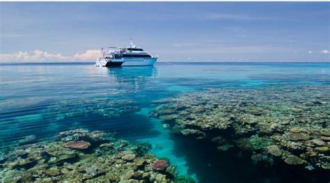 Snorkeling on the Great Barrier Reef tours - Day and liveaboard tours