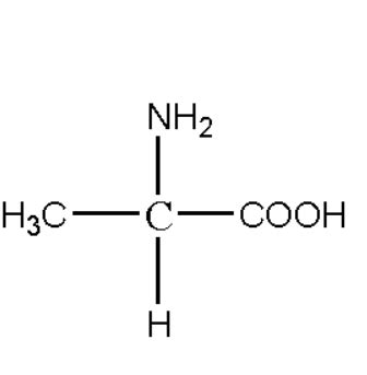 Zwitterion Definition Example Structure FAQs