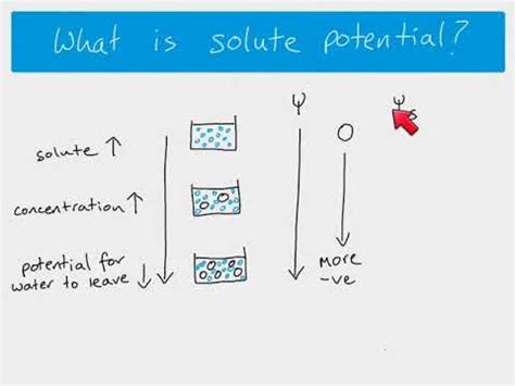 Water Potential Equation A Level Biology