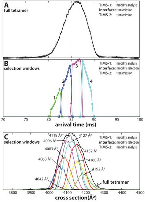 Structural Analysis Of The Glycoprotein Complex Avidin By Tandem