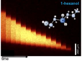 News Physics Of Surfaces Tu Darmstadt