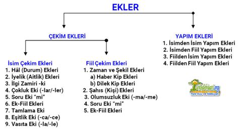 Çekim Ekleri Türk Dili ve Edebiyatı