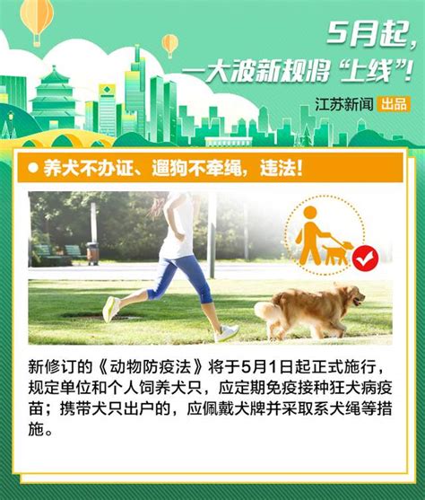 五月一日起养犬不办证遛狗不牵绳违法 这些新规与你有关我苏网