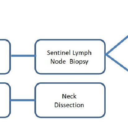 Sentinel lymph node biopsy procedure for melanoma. | Download ...