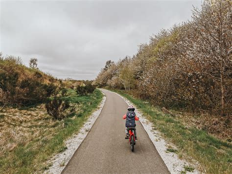 Ścieżka rowerowa Krokowa Swarzewo Znalezione na mapie