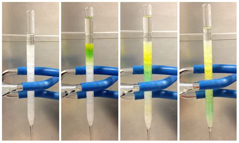 Scribbles By Joelle Spinach Extracts And Chromatography