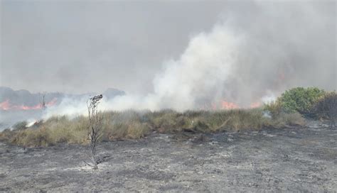 El Infoca Da Por Controlado Un Incendio En El Pinar De La