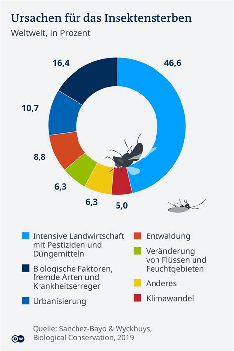 Alarmierender R Ckgang Der Pflanzen Und Tierarten Partei Mensch