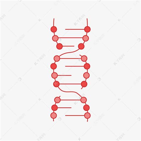 红色DNA双螺旋基因链图形素材图片免费下载 千库网