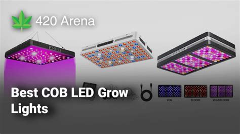 The 5 Best COB LED Grow Lights In 2020 420 Arena