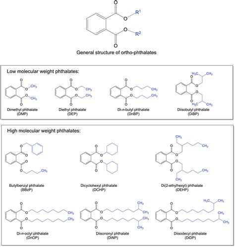 Phthalates A Component Of Certain Plastics And Cosmetic Products