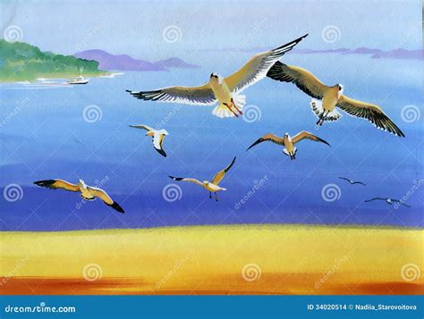 Watercolor Seagulls Stock Images - Image: 34020514