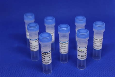 Anti Human Cd79b Recombinant Antibody Cobalt Biologics