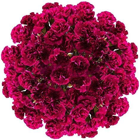 Amazon GlobalRose 100 Stems Of Fresh Cut Purple Spray Carnations