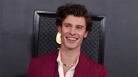 Shawn Mendes Tour Will Be At Amalie Arena In 2022