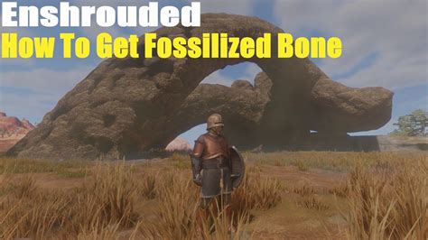 Enshrouded How To Get Fossilized Bone Youtube