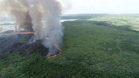 Louisiana Grapples With Largest Ever Wildfire | Southern Loggin' Times