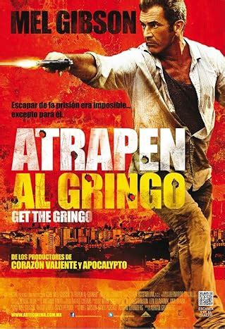 Get The Gringo 2012