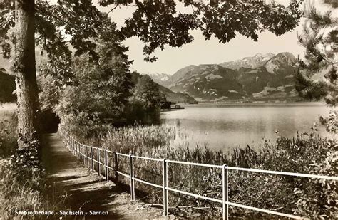 Alte Foto AK Seepromenade Sachseln Sarnen Kaufen Auf Ricardo