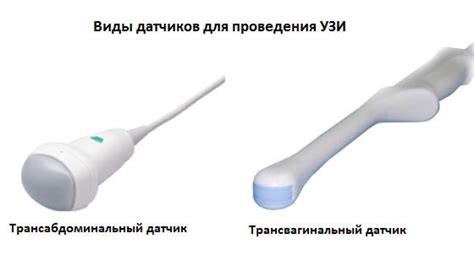 Таз девственницы