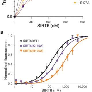 Nucleosome binding of wild-type SIRT6 and SIRT6 containing point ... 