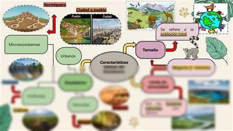 Solution Mapa Mental Caracter Sticas B Sicas Del Ecosistema Studypool