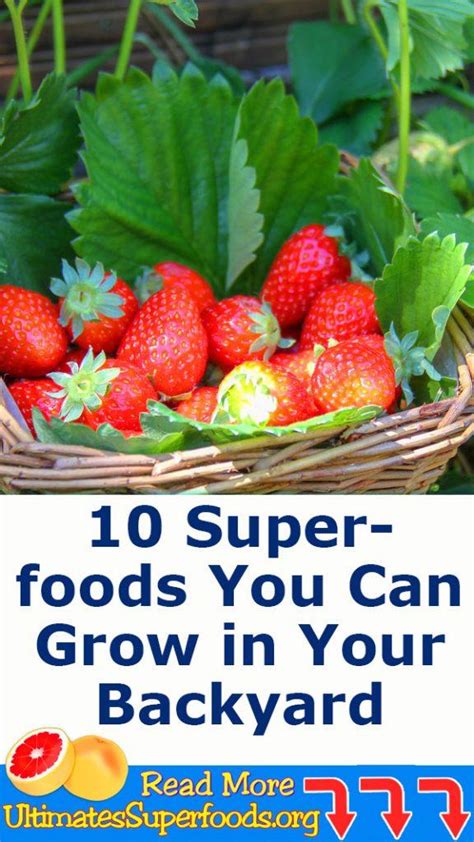 10 Superfoods You Can Grow In Your Backyard Video Ultimate Super Foods