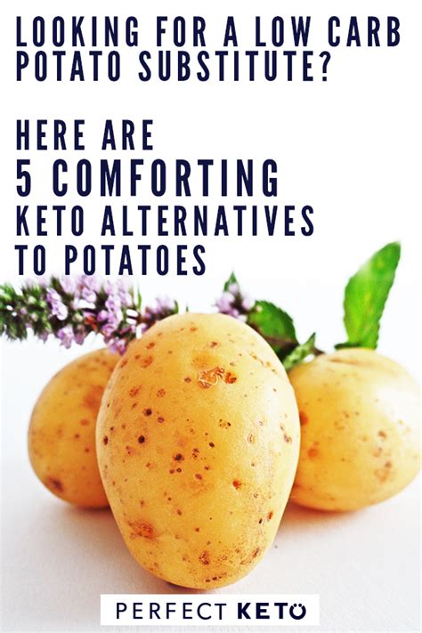 Worried About Carbs In Potatoes 6 Low Carb Potato Substitutes Low