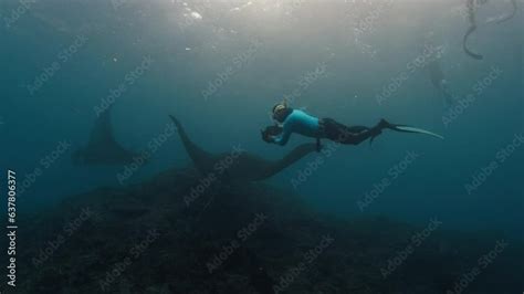 Underwater Photographer Takes Picture Of Manta Ray Freediver With