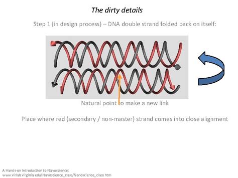 Introduction To Dna Origami Synthesis Of Dna Origami