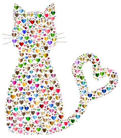 Instant Can Hear My Cat Breathing And The Impact On Feline Heart Health Act Fast - Grand County Asset Hub