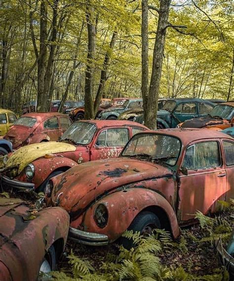 Vw Bus Graveyard