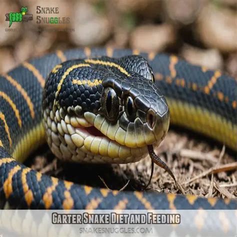 Master Garter Snake Pet Care: Expert Tips for a Happy, Healthy Snake