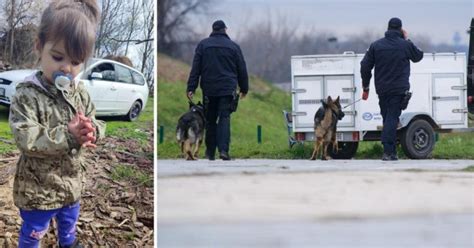 TREĆI DAN POTRAGE ZA DJEVOJČICOM DANKOM U SRBIJI Otkriveno ko je vozio