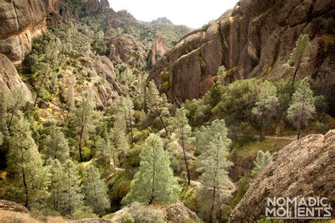 Hiking Pinnacles National Park - Nomadic Moments