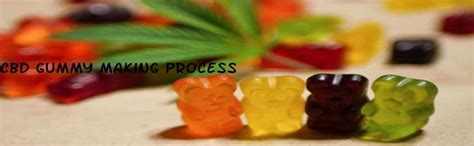 Cbd Gummy Making Process Bitm Pune