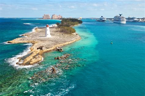 The best Nassau Shore Excursions to the Bahamas Swimming Pigs in Exuma