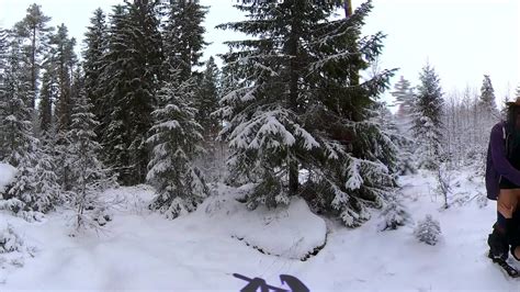 Sex In The Winter Forest While The Snow Is Falling Rosenlundx Vr K Fps