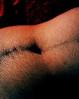 Hairy Arms Collection Porn Pictures XXX Photos Sex Images Page PICTOA