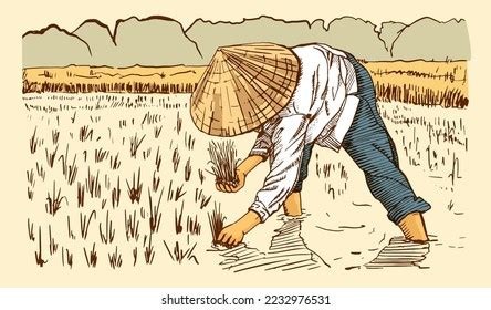 Asian Farmers Working On Field Farmer Stock Vector (Royalty Free ...