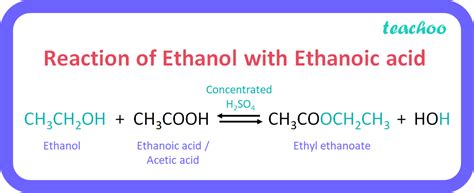 [Carbon Class 10] Complete chemical equations: (i) CH3COOC2H5 + NaOH →