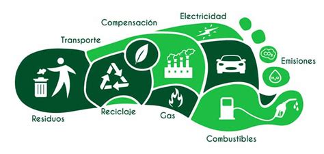 ¿cómo Se Calcula La Huella De Carbono 2024 Leaf