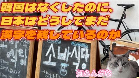 【にゃんこはゆっくり語りたい（時事系）】韓国はなくしたのに、日本はどうしてまだ漢字を残しているのか／20230515 Youtube