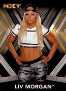 Liv Morgan/Merchandise | Pro Wrestling | Fandom