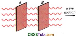 What is a Wavelength? Definition and Solved Examples - CBSE Tuts